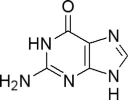 Guanine 鳥嘌呤